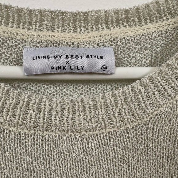 Pink Lily x Living my best style Leopard and Stripe Sweater - Picture 2 of 3